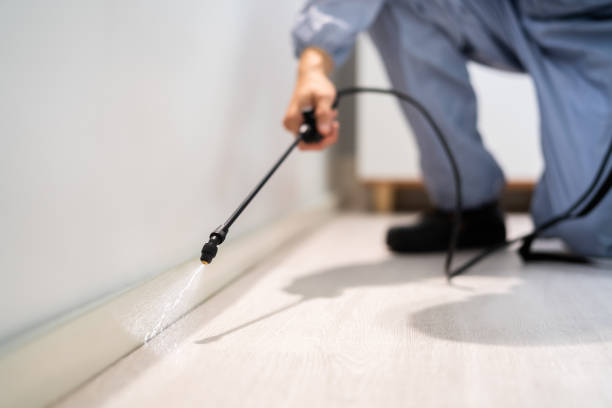 Licensed Termite Control service in Marshall County County, SD - Nex Pest Control