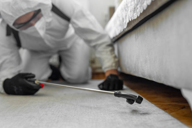 Professional Termite Control technician working in Marshall County County, SD